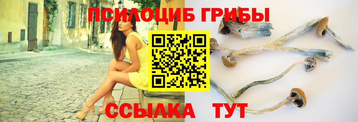 купить наркотик  Псилоцибиновые грибы Psilocybine cubensis  Вход с VPN  Алапаевск 